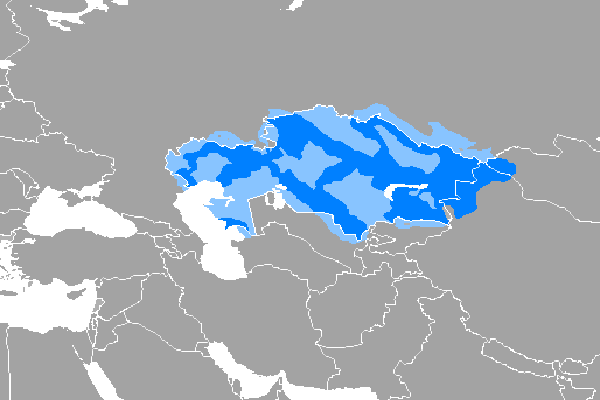 Ankara Kazakça Tercume, Kazakça Yeminli Tercüme, Ankara Kazakça Yeminli Tercüme, Kızılay Kazakça Yeminli Tercüme